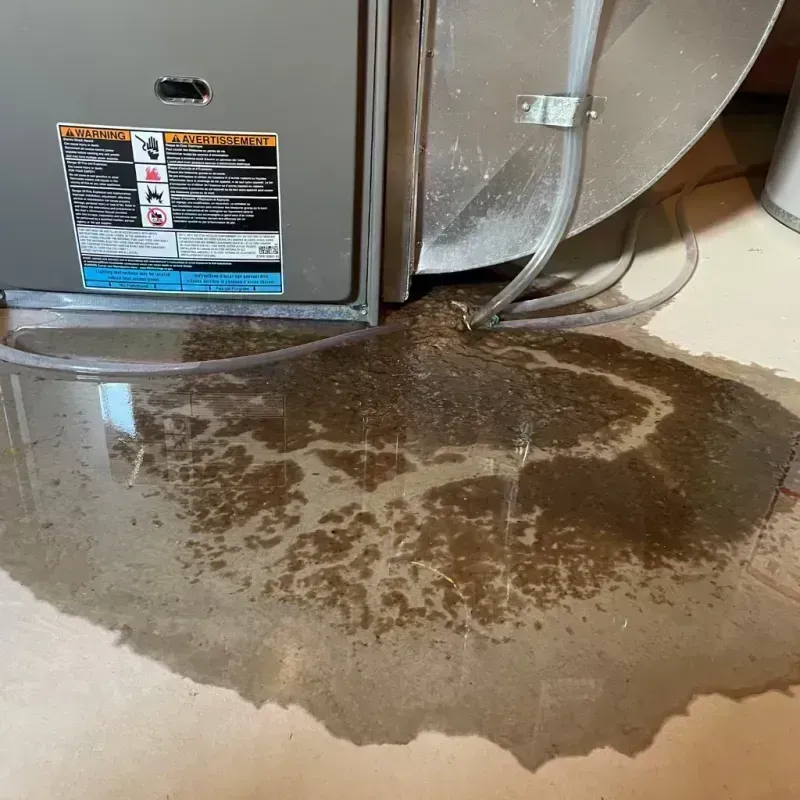 Appliance Leak Cleanup in Broomfield County, CO